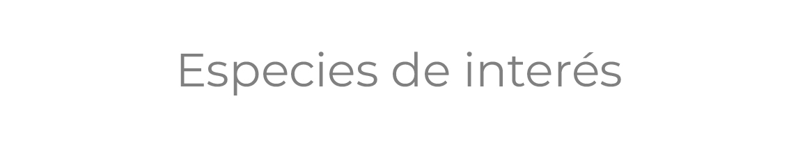 etiquetas-05